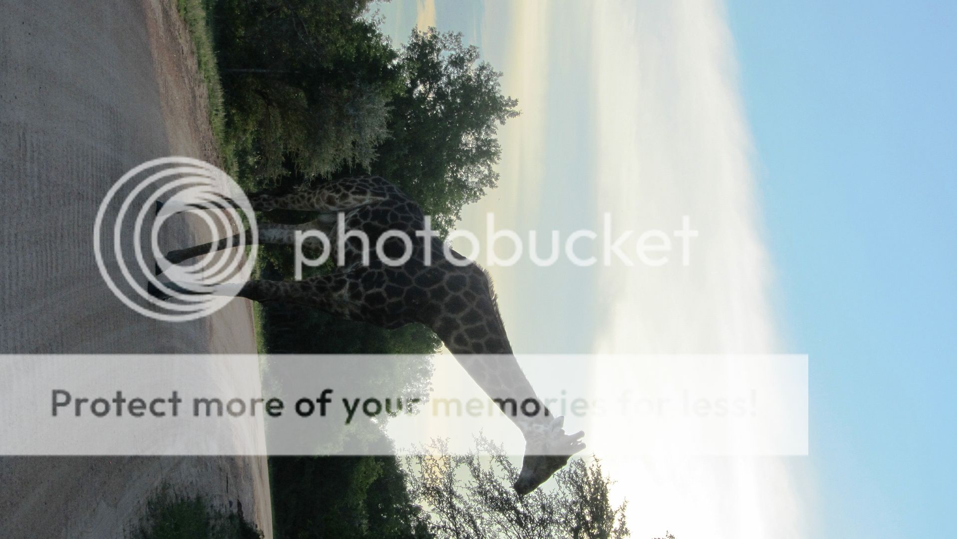 Kruger Park Dec 2014 | Windows Central